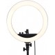 Комплект LED ринг лампа 10 инча с трипод Ring Fill Light